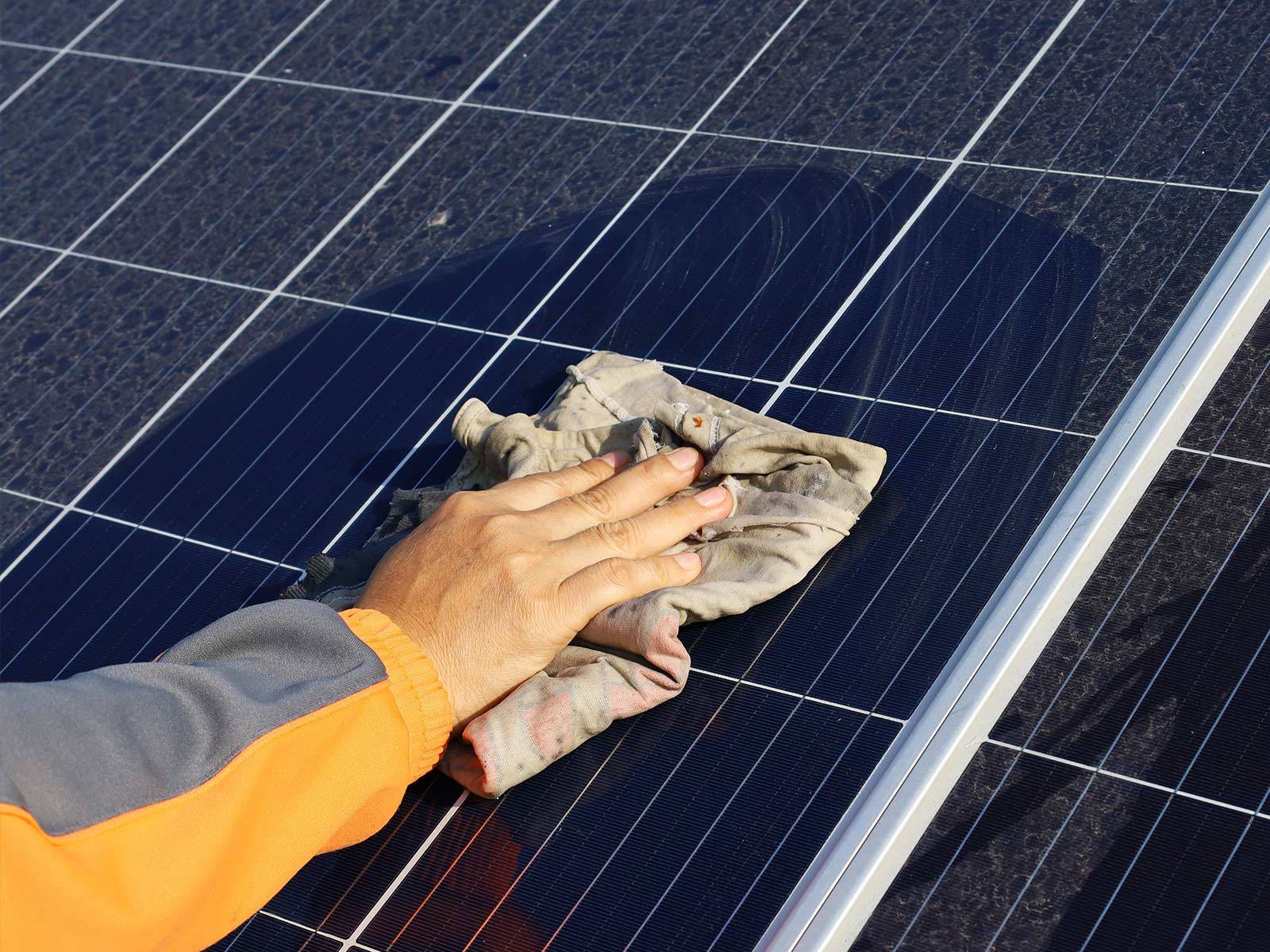 Man cleaning solar panels