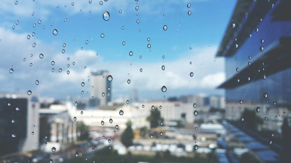 Beads of Water Shown on Commercial Office Window Treated with Hydrophobic Coating
